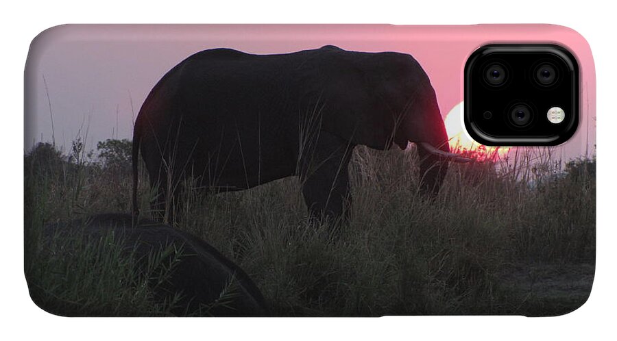 Elephant iPhone 11 Case featuring the photograph The Elephant and the Sun by David Bader