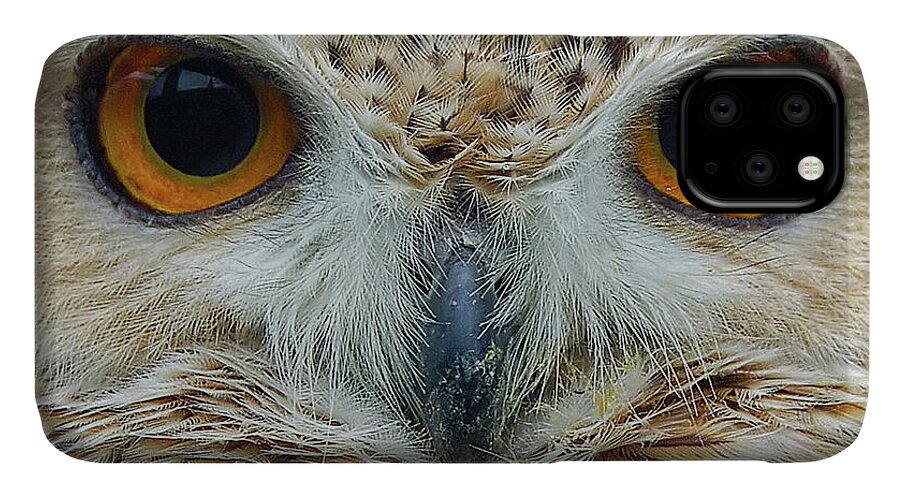 Owl iPhone 11 Case featuring the photograph The Eyes have it by Kuni Photography