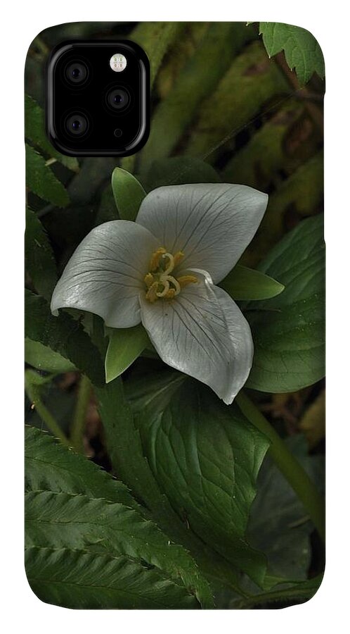 Flowers iPhone 11 Case featuring the photograph The Gentle Trillium by Charles Lucas
