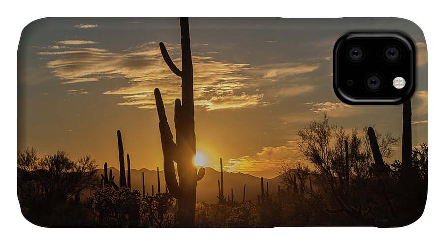 Landscape iPhone 11 Case featuring the photograph The Golden Hour by Teresa Wilson