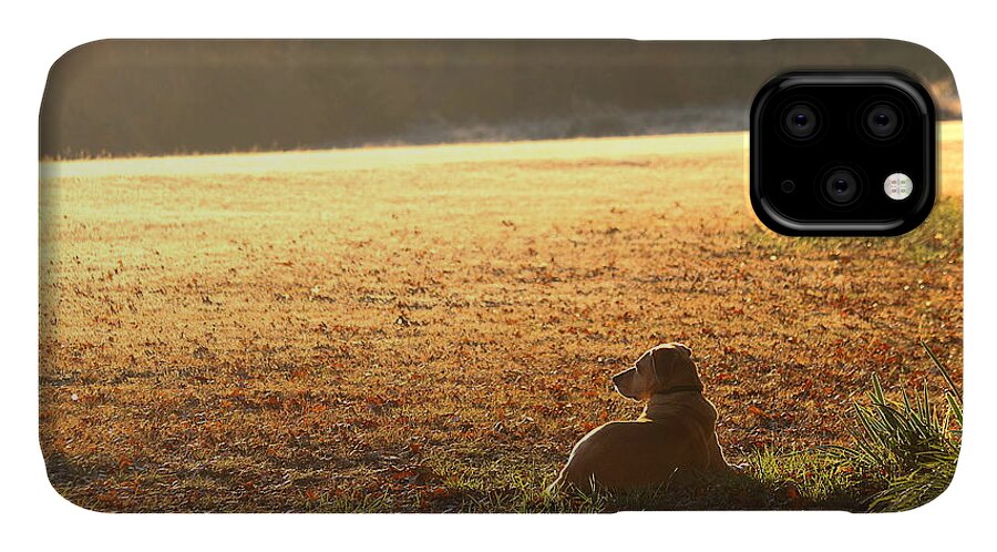 Animals iPhone 11 Case featuring the photograph The Guardian by Sheila Brown