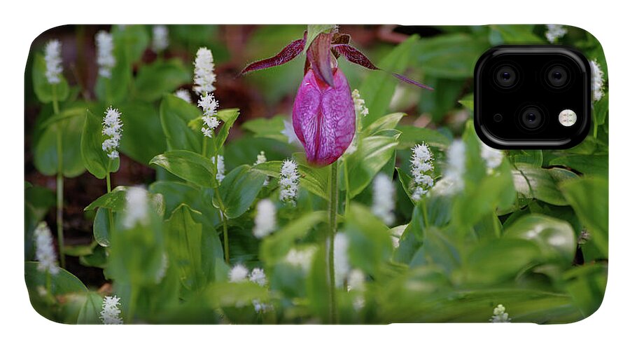 Lady Slipper iPhone 11 Case featuring the photograph The Queen and her Minions by John Meader