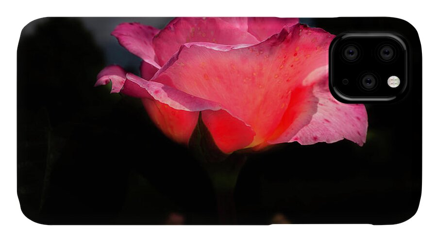 Rose iPhone 11 Case featuring the photograph The rose 2 by Wolfgang Stocker
