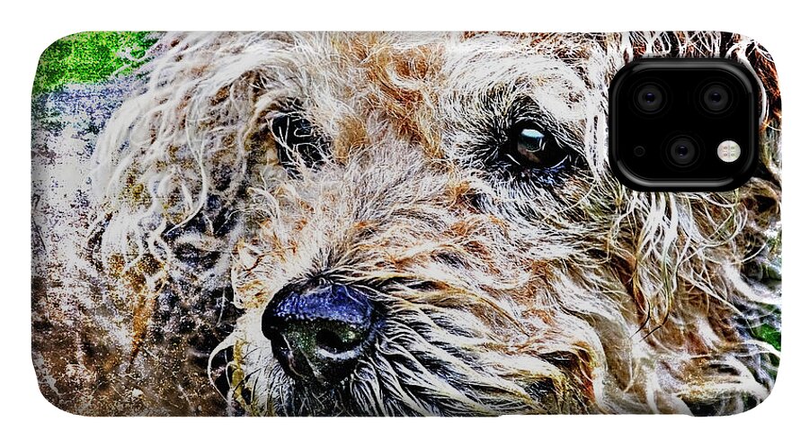 Dog iPhone 11 Case featuring the photograph The Scruffiest Dog In The World by Meirion Matthias
