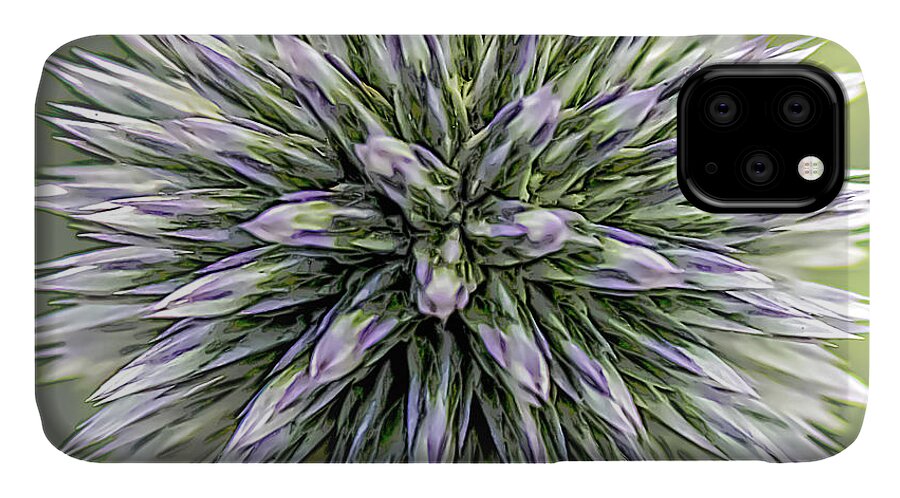Nature iPhone 11 Case featuring the photograph Thistle II by Robert Mitchell
