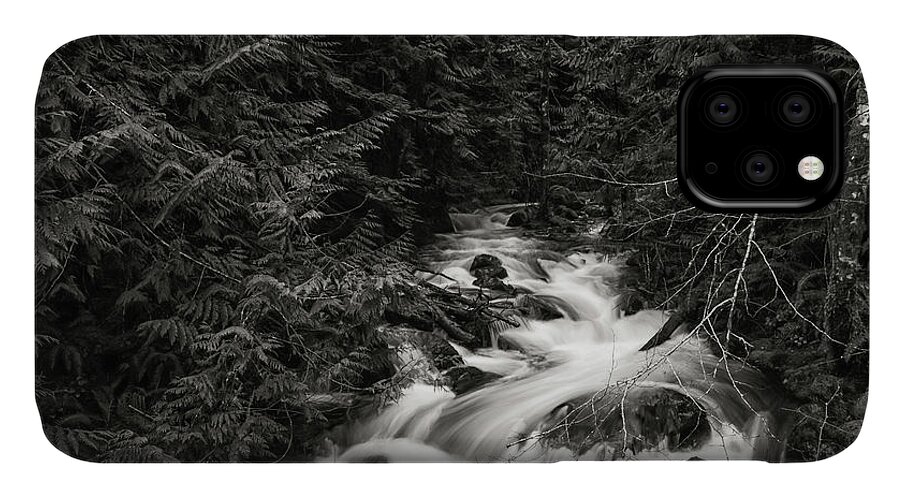 Water iPhone 11 Case featuring the photograph Through the woods by David Hillier