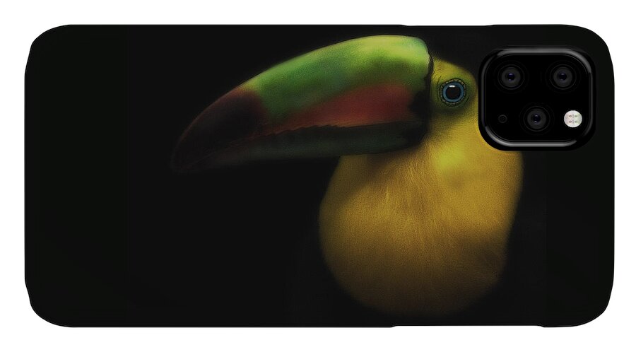 Toucans iPhone 11 Case featuring the photograph Toucan On Black by Pat Abbott