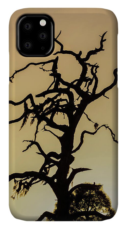 Silhouette iPhone 11 Case featuring the photograph Tree Silhouette by Robert Mitchell