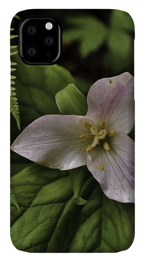 Flowers iPhone 11 Case featuring the photograph Trillium in Pink by Charles Lucas