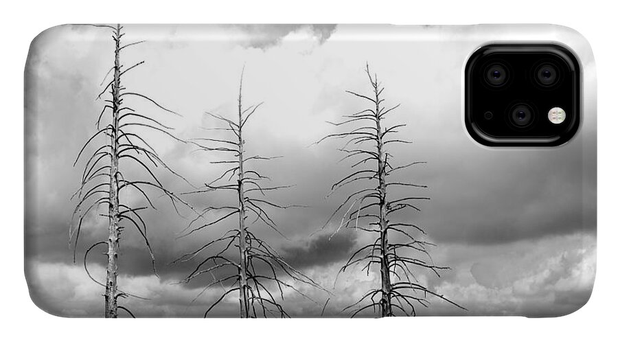 B&w iPhone 11 Case featuring the photograph Trio 2 by Melisa Elliott