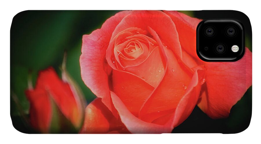 Flower iPhone 11 Case featuring the photograph Tropicana Rose by Albert Seger