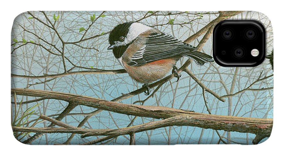 Black Capped Chickadee iPhone 11 Case featuring the painting Troublesome Trio by Mike Brown