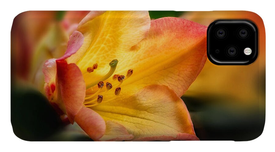 Rhododendron iPhone 11 Case featuring the photograph Trumpet of Spring by Mary Jo Allen
