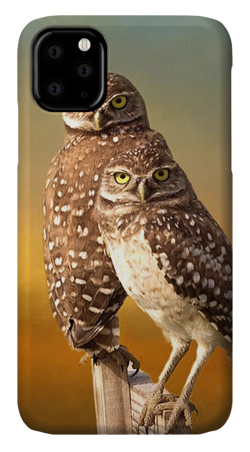 Owl iPhone 11 Case featuring the photograph Two Of Us by Kim Hojnacki