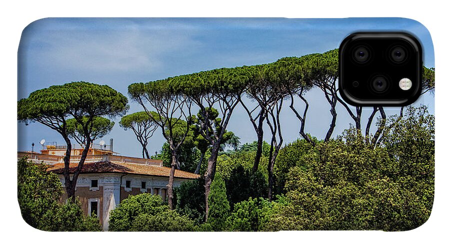 Umbrella Trees In Rome iPhone 11 Case featuring the photograph Umbrella Trees in Rome by Carolyn Derstine