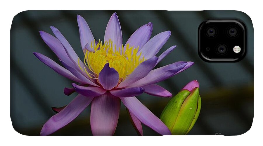 Flower iPhone 11 Case featuring the photograph Violet and yellow water lily flower with unopened bud by Imran Ahmed