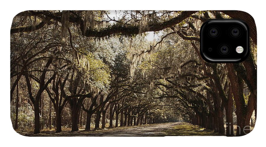 Live Oaks iPhone 11 Case featuring the photograph Warm Southern Hospitality by Carol Groenen