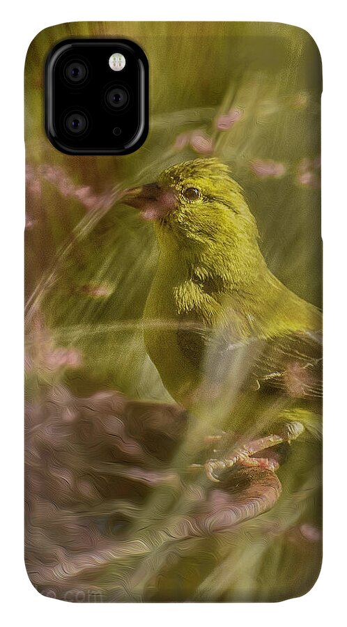 Gold Finch iPhone 11 Case featuring the photograph Watch What You Eat.... by Paul Vitko
