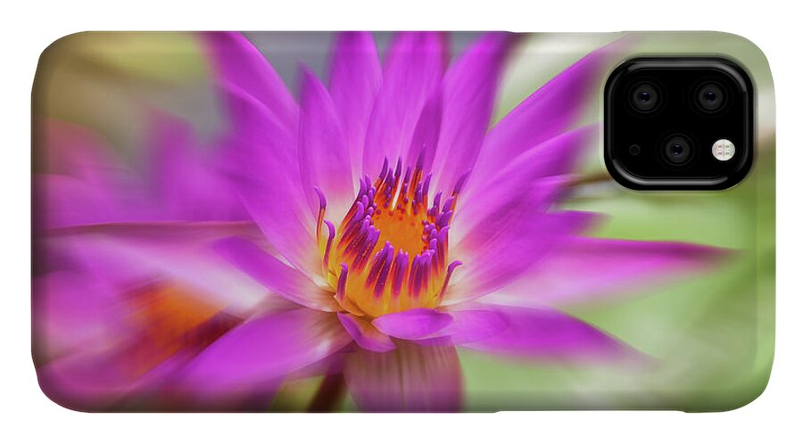 Water Lily iPhone 11 Case featuring the photograph Water lily by Delphimages Photo Creations