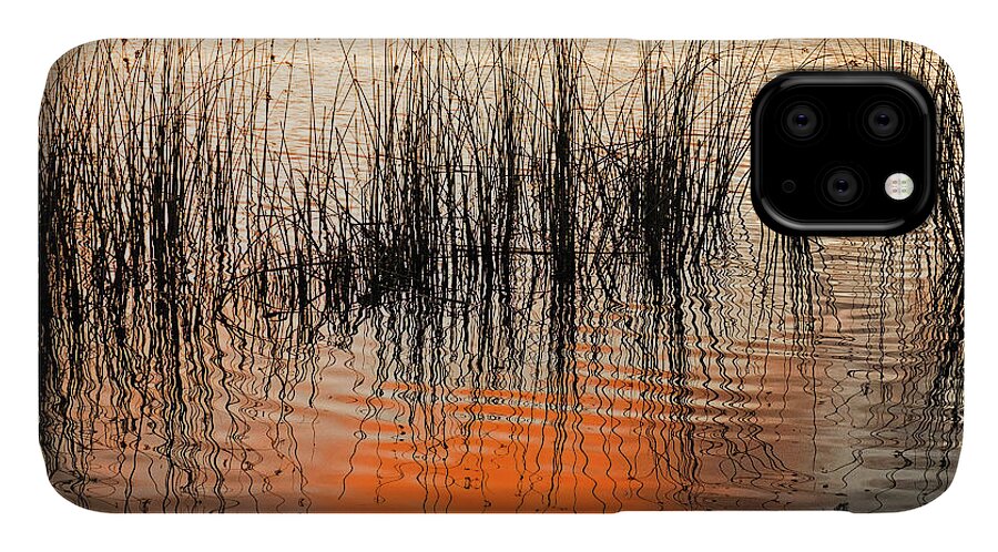Sunset iPhone 11 Case featuring the photograph Water reeds at sunset by Catherine Reading