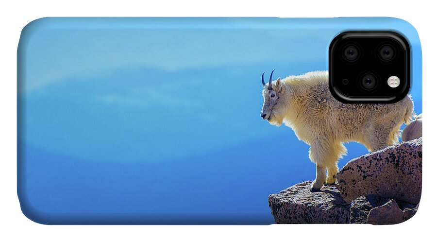 Colorado iPhone 11 Case featuring the photograph What A View by John De Bord