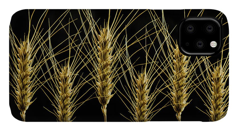 Wheat iPhone 11 Case featuring the photograph Wheat in a Row by Wolfgang Stocker