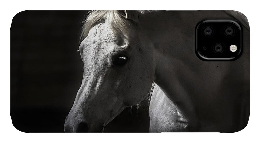 White Beauty iPhone 11 Case featuring the photograph White Beauty by Wes and Dotty Weber