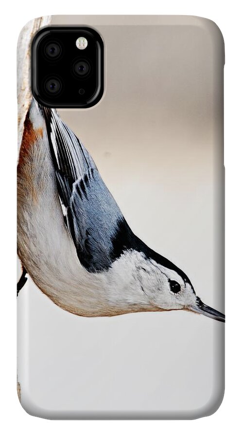 Photography iPhone 11 Case featuring the photograph White-Breasted Nuthatch by Larry Ricker