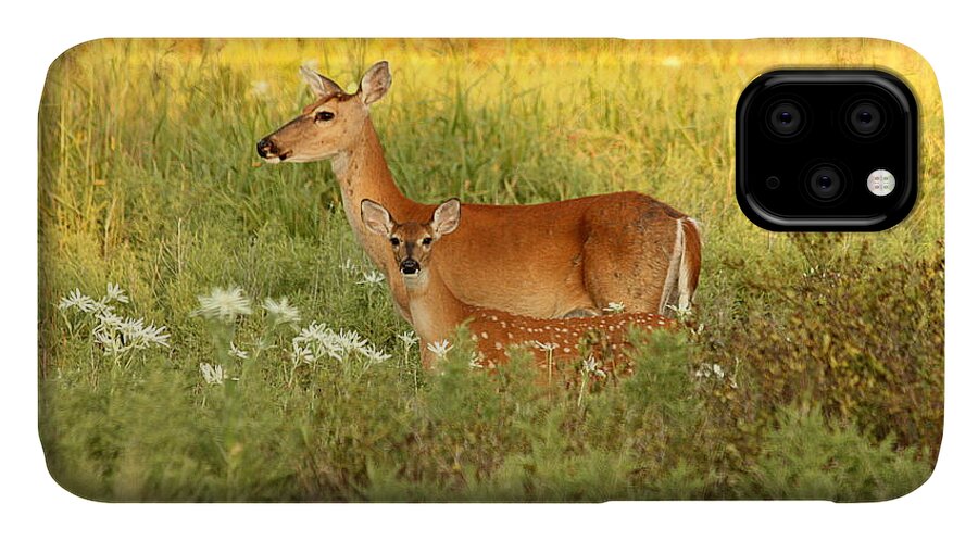 Nature iPhone 11 Case featuring the photograph White-Tail Doe and Fawn in Meadow by Sheila Brown