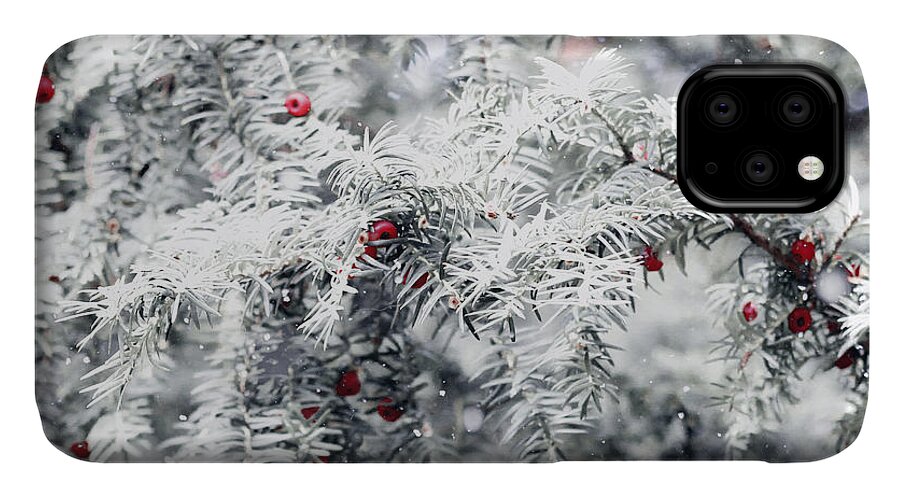 Nature iPhone 11 Case featuring the photograph White yew by Helga Novelli