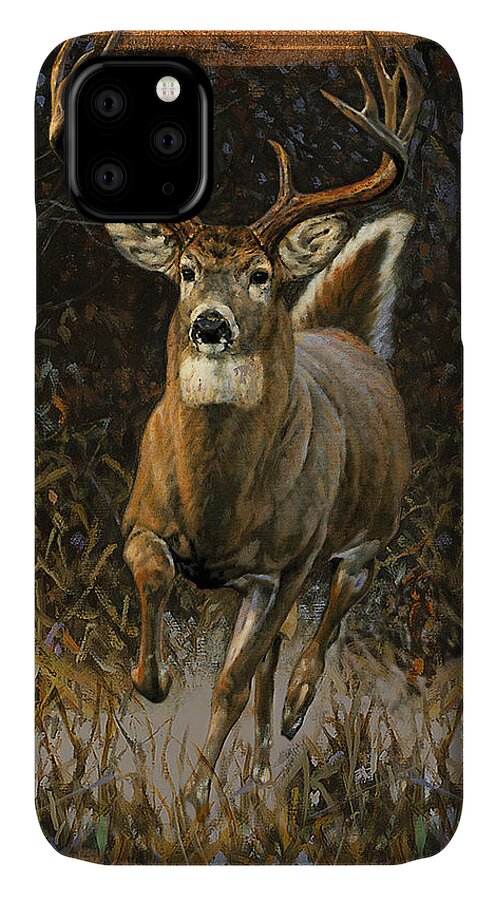 Bruce Miller iPhone 11 Case featuring the painting Whitetail Deer by JQ Licensing