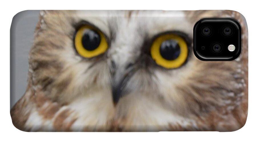 Owls iPhone 11 Case featuring the photograph Whoo me by Charles HALL