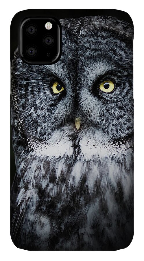 Bird iPhone 11 Case featuring the photograph Whooo are you looking at? by Bruce Bonnett