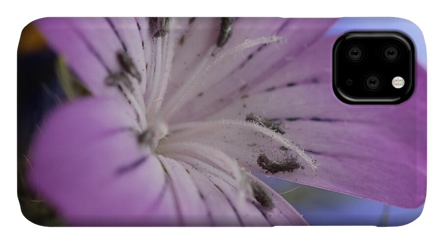 Wildflower Corn Cockle Flower Meadow Blue Purple iPhone 11 Case featuring the photograph Wildflower by Ian Sanders