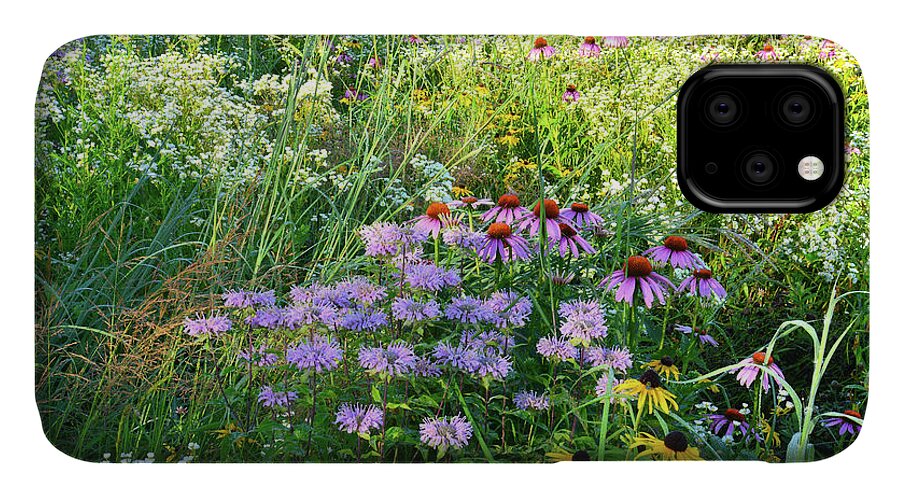 Mchenry County Conservation District iPhone 11 Case featuring the photograph Wildflowers in Moraine Hills State Park by Ray Mathis