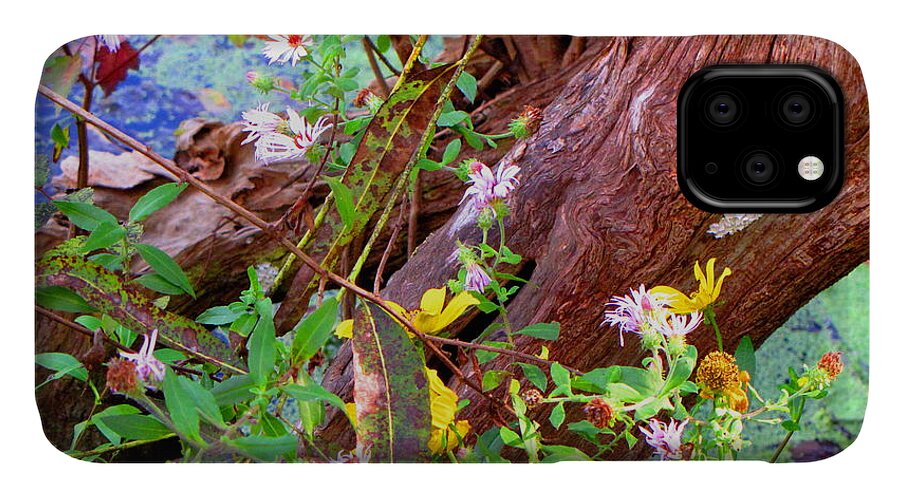 Wildflowers iPhone 11 Case featuring the photograph Wildflowers on a Cypress Knee by Barbara Bowen