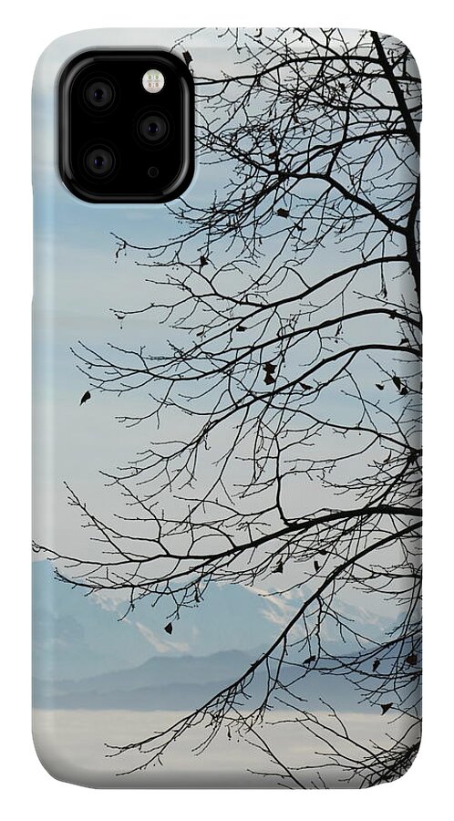 Alpine iPhone 11 Case featuring the photograph Winter tree and Alps mountains upon the fog by Elenarts - Elena Duvernay photo