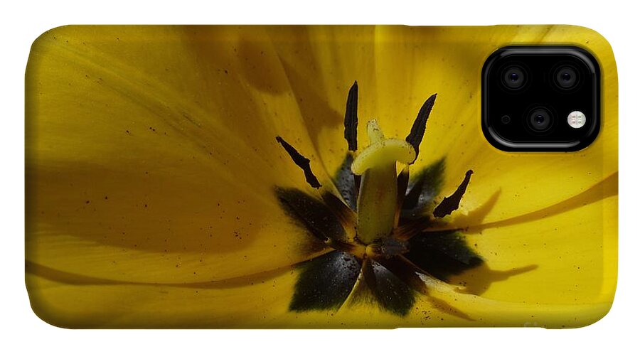 Beautiful iPhone 11 Case featuring the photograph Yellow Tulip 1 by Jean Bernard Roussilhe