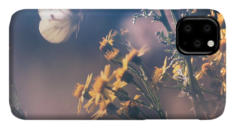Butterfly iPhone 11 Case featuring the photograph Around The Meadow #2 by Jaroslav Buna