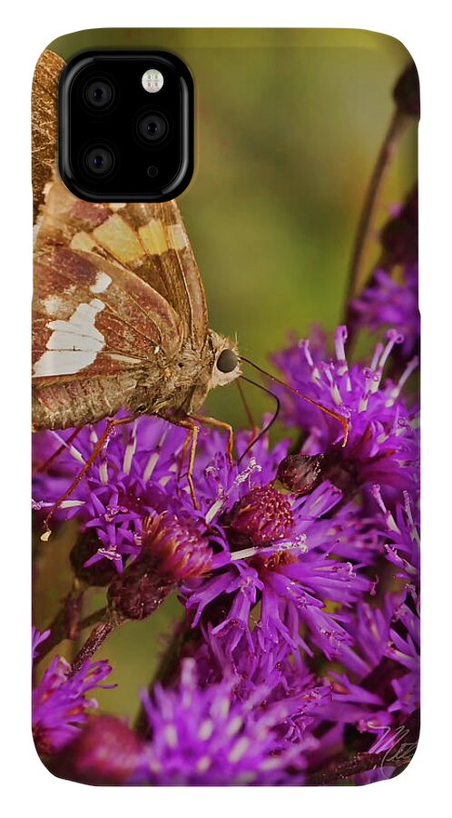 Macro Photography iPhone 11 Case featuring the photograph Moth On Purple Flowers #1 by Meta Gatschenberger