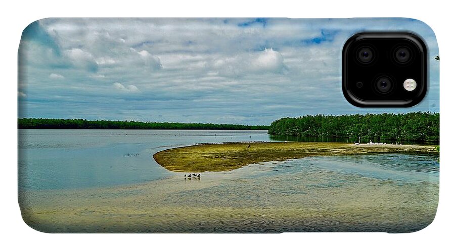 Lake iPhone 11 Case featuring the photograph Wildlife Refuge On Sanibel Island #1 by Susan Rydberg