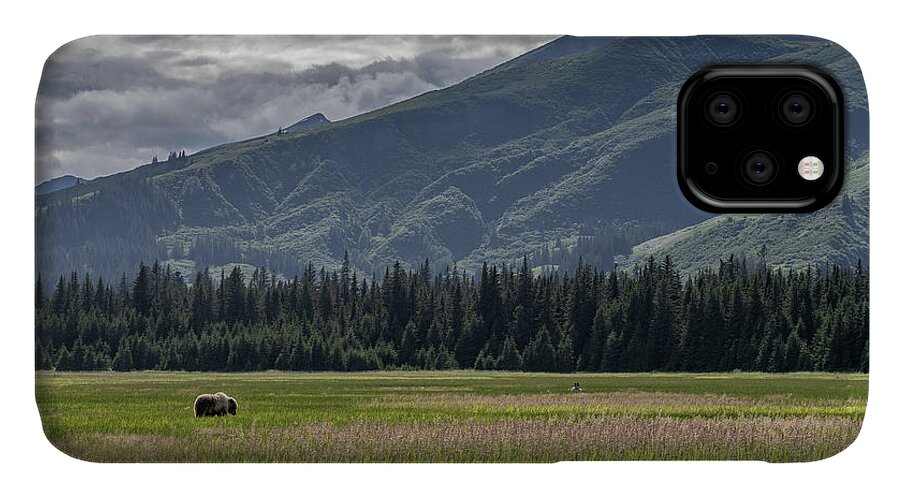 Bear iPhone 11 Case featuring the photograph Alaska Brown Bear in a meadow with mountains behind by Mark Hunter