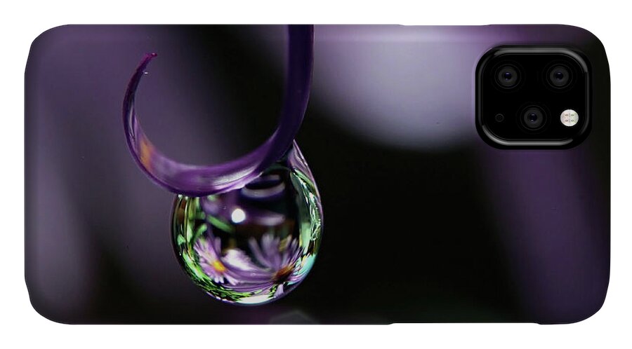 Macro Water Drop iPhone 11 Case featuring the photograph Asters by Michelle Wermuth