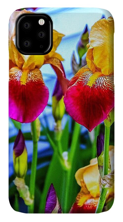 # Blatant Iris# Flowers#season# Spring # Tall# Bearded# Nature #colors # Yellow # Burgundy # Orange #leaves#green # Photography # (c)maryleeparker Mug # Weekend Tote # Shower Curtain #! Duvet Cover # Framed # Print#!greeting Card# Metal # Wood# Yoga Mat # Blanket #  Tapestry # T Stirt# Phone Case# Battery Case# Beach Towel # Tote Bag # Pouch# Round Towel# Notebook iPhone 11 Case featuring the photograph Blatant Iris by MaryLee Parker