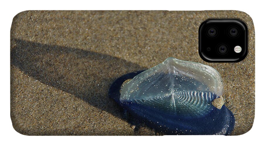Blue iPhone 11 Case featuring the photograph Blue jellyfish by Steve Estvanik