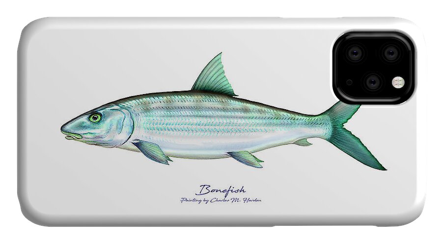 Charles Harden iPhone 11 Case featuring the painting Bonefish by Charles Harden