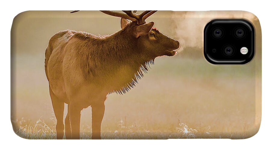 Elk iPhone 11 Case featuring the photograph Frosty Bugle Breath by Marcy Wielfaert