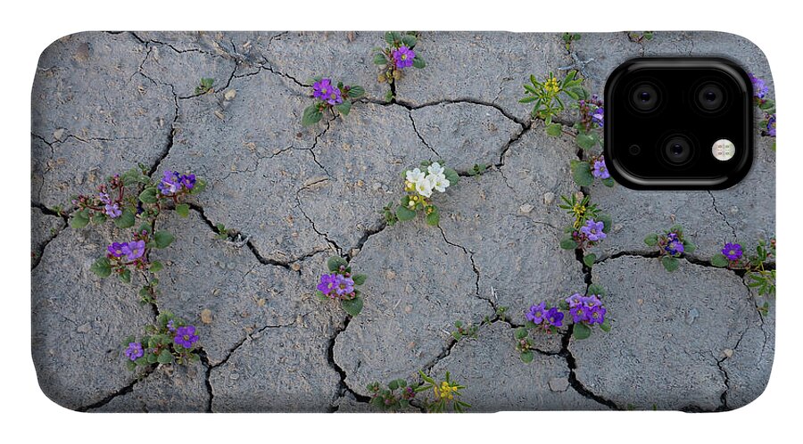 Utah iPhone 11 Case featuring the photograph Cracked by Emily Dickey