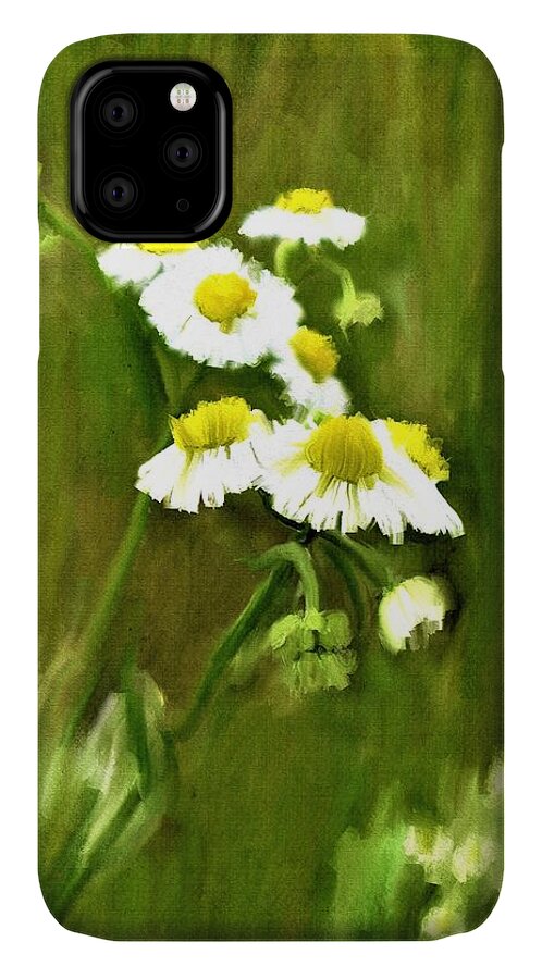 Daisies iPhone 11 Case featuring the painting Daisies by Diane Chandler