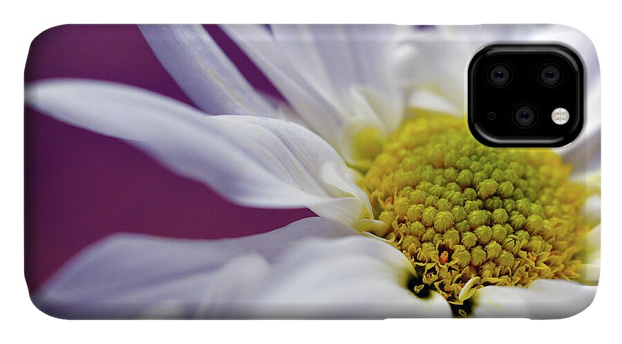 White Daisy Flower iPhone 11 Case featuring the photograph Daisy Mine by Michelle Wermuth